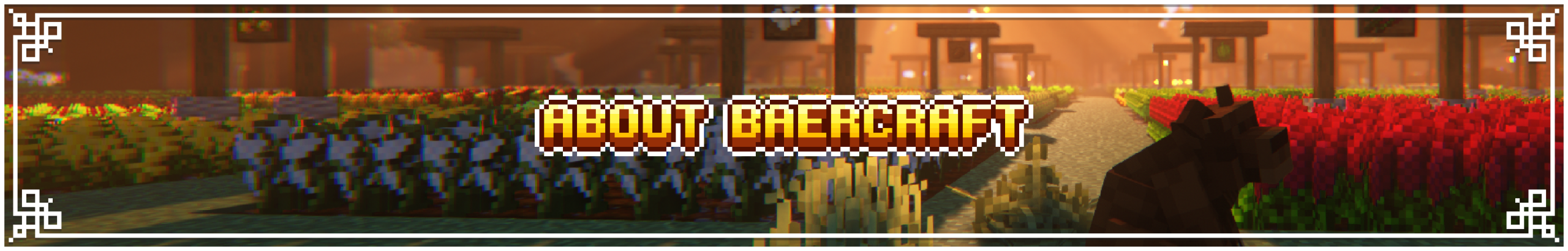 熊爪工艺 - BaerCraft