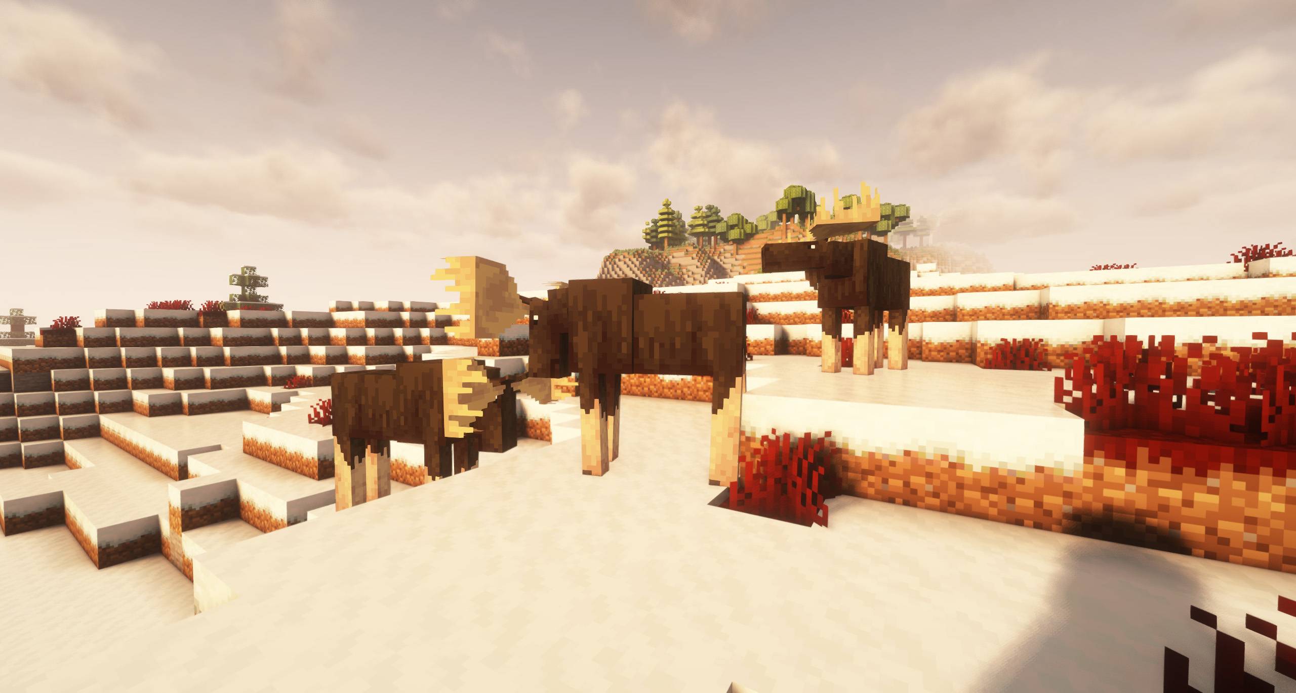 更多生物群系 [FORGE] - 1.21 更新！- More Biomes [FORGE] - 1.21 UPDATE!