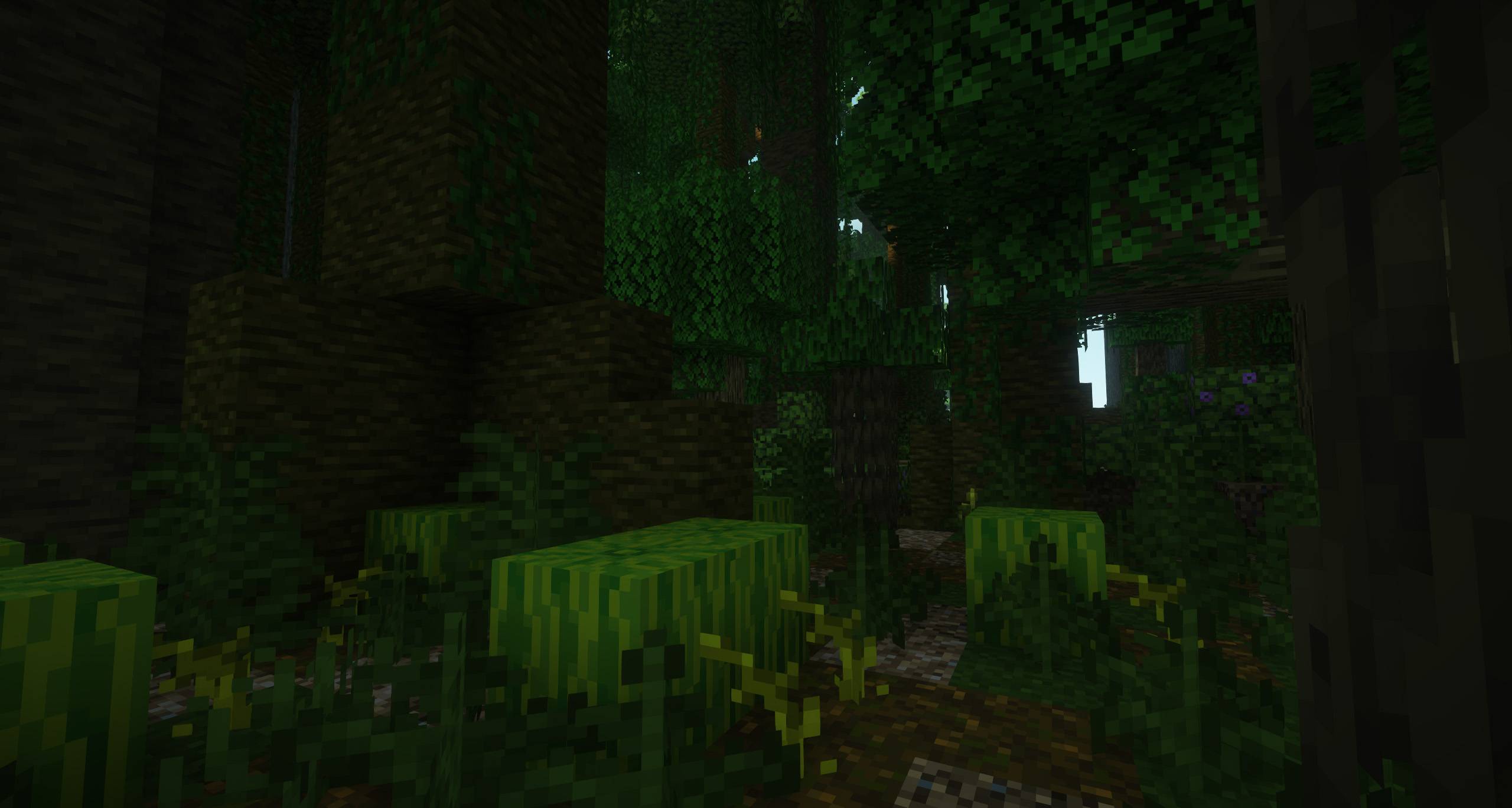 更多生物群系 [FORGE] - 1.21 更新！- More Biomes [FORGE] - 1.21 UPDATE!