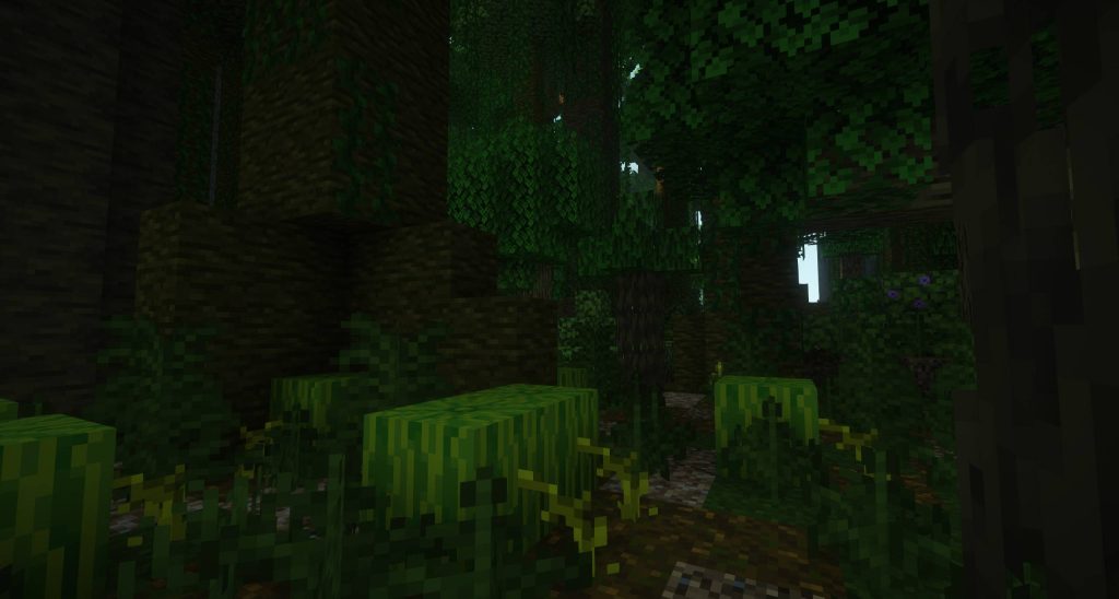 更多生物群系 [FORGE] - 1.21 更新！- More Biomes [FORGE] - 1.21 UPDATE!