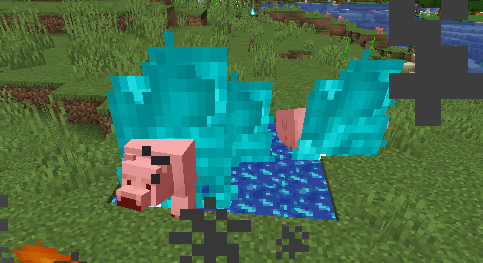Blue Flame Burning Blue Flame Burning