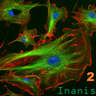 伊南尼斯 2 - Inanis 2 伊南尼斯 2 - Inanis 2