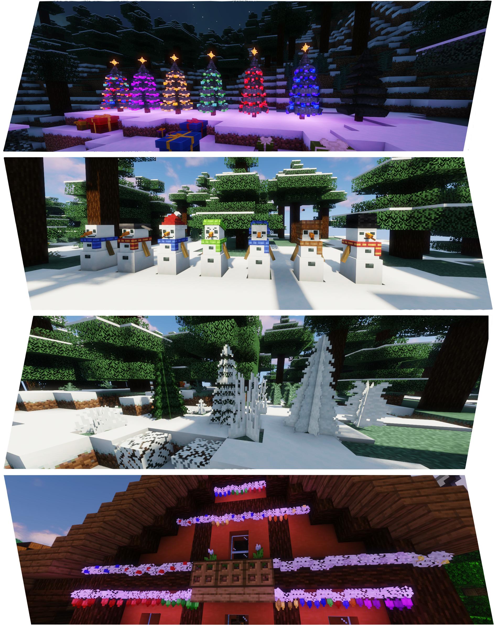 Macaw's Holidays