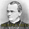 孟德尔蜜蜂 - Mendel's Bees 孟德尔蜜蜂 - Mendel's Bees