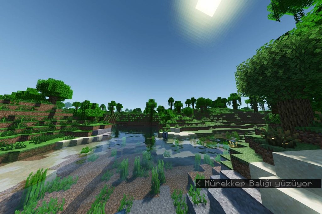 米斯特阿克索洛茨光影 - MrAxolots shader 米斯特阿克索洛茨光影 - MrAxolots shader