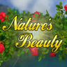 自然之美 - Nature's Beauty 自然之美 - Nature's Beauty