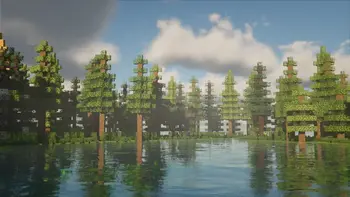 水杨酸光影 - Salicylic Shaders 水杨酸光影 - Salicylic Shaders