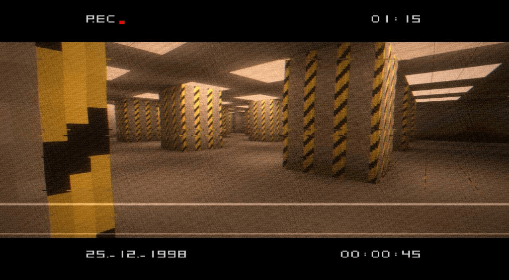 VHS_X_BSL VHS_X_BSL